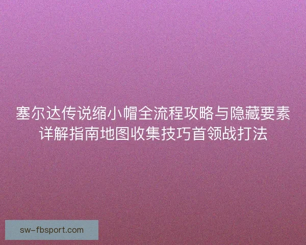 塞尔达传说缩小帽全流程攻略与隐藏要素详解指南地图收集技巧首领战打法